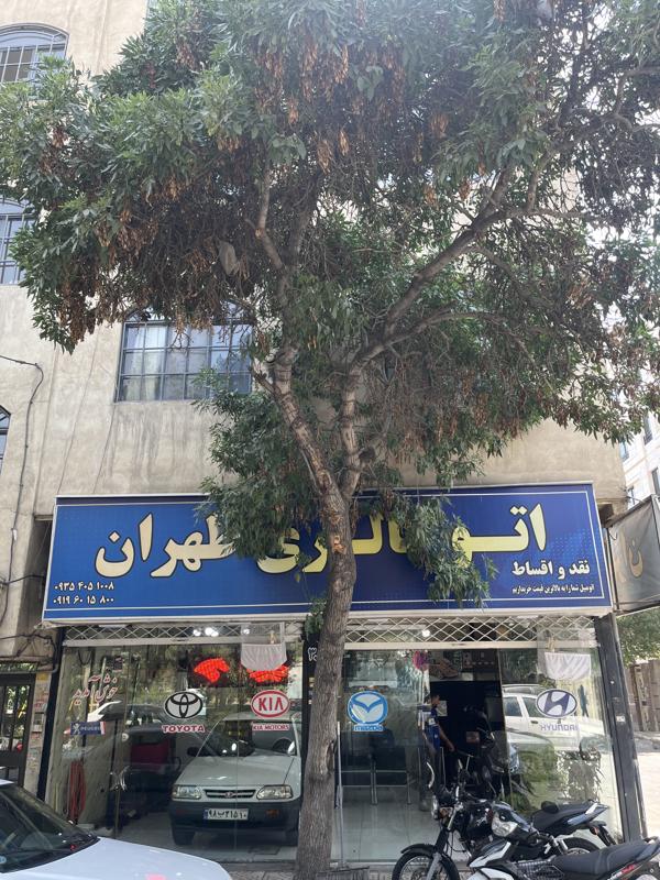 اتو طهران